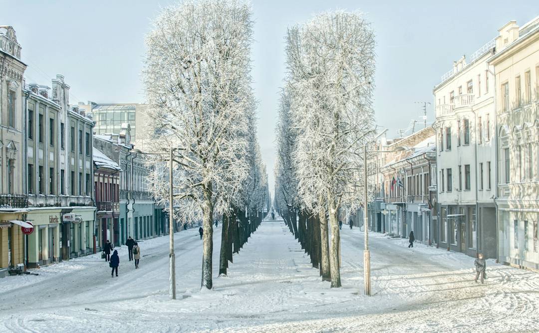 "A walking highway going though most of kaunas"
.
First day in Kaunas, Lithuania has come to an end.